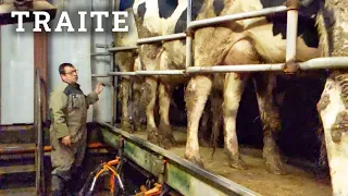 La traite des vaches chez Jean-Bernard - 2022