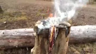 Swedish Fire Log