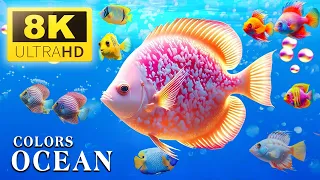 The Best 4K Aquarium - The Colors of the Ocean, The Sound Of Nature #61