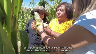 ¡Revitalizando la agricultura campesina!