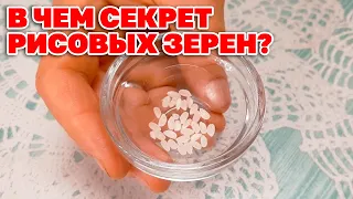 УСМИРИТЬ ЖГУЧИЙ ПОРЫВ ЖЕЛУДКА /ТИБЕТСКИЙ СПОСОБ ОТ ИЗЖОГИ @natureMarusya