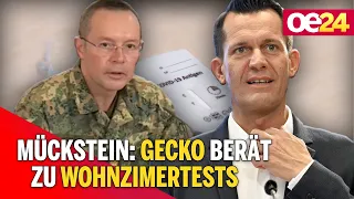 Mückstein: GECKO berät zu Wohnzimmertests