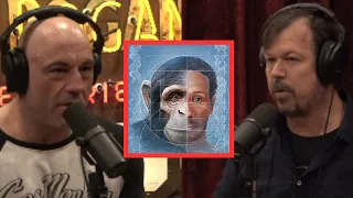 James Reed On Chimps Having Human Traits | Joe Rogan Experience