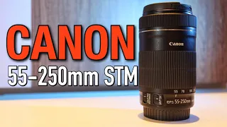 CANON EF-S 55-250mm f/4-5.6 IS STM Lens