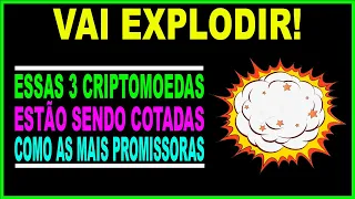 TOP 3 CRIPTOMOEDAS QUE PODEM TE DAR + DE 1000% NO PRÓXIMO CÍCLO DE ALTA CRIPTO! - DINHEIRO!