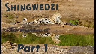 Shingwedzi in Kruger |Part 1| Kruger Park Safari Vlog