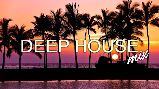 Avicii, Calvin Harris, Kygo, Alok, Robin Schulz, David Guetta, Gryffin - Summer Vibes Mix #429