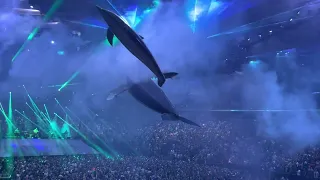 Whale Watching Phish MSG 4/22/22