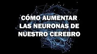 Cómo Aumentar La Producción De Neuronas De Nuestro Cerebro