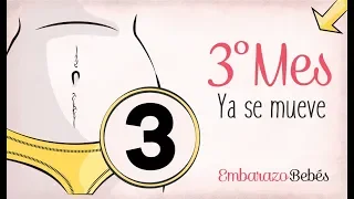 MES 3 | Tercer mes de #embarazo | Semana a semana