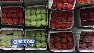 Here is where your Valentine's Day flowers come from