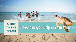 WHAT YOU CAN DO // Help Turtles While at the Beach!