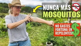 5 Homemade REPELLENTS! Against Mosquitoes, Flies and Horseflies! Biological and Effective! ✅♻️😊