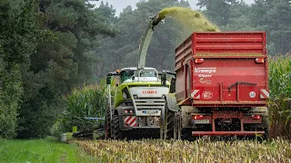 Corn silage harvest 2023 / Pit work / Claas Jaguar 950 + Fendt + John Deere / Vering Biogas