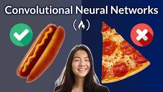 Hot Dog or Not Hot Dog – Convolutional Neural Network Course for Beginners