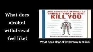 What does alcohol withdrawal feel like? | Kevin O'Hara