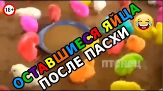 🤣😎 СМЕХ ДО СЛЕЗ | Gifs With Sound | ПРИКОЛЫ 2019 МАЙ #4