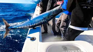 Fishing For the Fastest FISH in the World!!! {Catch Clean Cook} The Bahamas