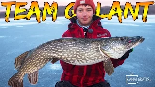 Ice Fishing Big Pelagic Pike | Team Galant (English Subtitles)