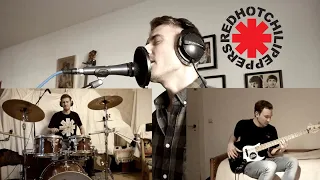 CHARLIE - Red Hot Chili Peppers (Cover by Berry Season)