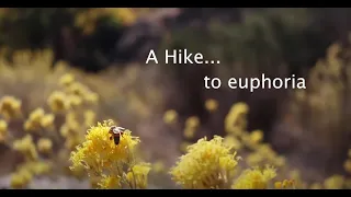 "A hike to euphoria" (Sespe River Trail to Willet Hot Springs)