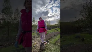 Грядка с сюрпризом 🥰 ссылка на мое приложение в описании, видео публикую туда