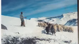 arriba en la cordillera - video patricio manns original