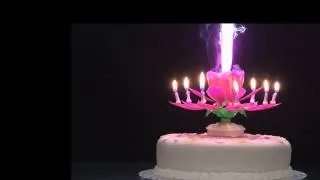 Rotating Musical Flower Candle