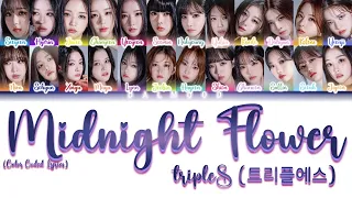 tripleS (트리플에스) - Midnight Flower [Color Coded Lyrics Han|Rom|Eng]