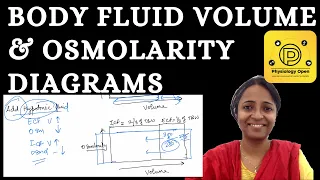 Body fluid compartments osmolarity and volume diagrams | General physiology mbbs 1st year
