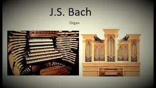 J  S  Bach   Fantasias  Fugues   M  Suzuki