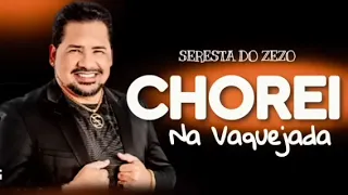 ZEZO POTIGUAR - CHOREI NA VAQUEJADA - AS MELHORES SERESTAS - CD NOVO 2023