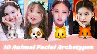 What ANIMAL Face Type Are You? | Animal Face Types Explained