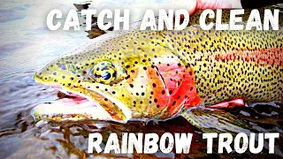 How To CATCH & CLEAN TROUT! | These Fish Were FIRED UP!