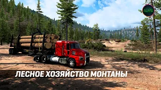 ЛЕСНОЕ ХОЗЯЙСТВО МОНТАНЫ В ATS!