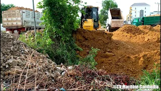 EP3 Impressive Showing Project Filling Land Removal Clearing Dozer D51PX Pushing Soil Into Water