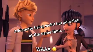 Adrienette sweet/funny moment 💗 | Miraculous New York Special