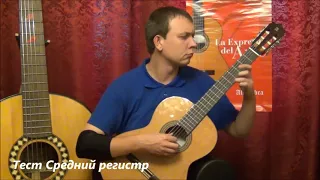 Какую выбрать гитару Обзор Alhambra 3cguitar review