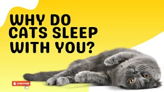 Why Does Your Cat Sleep With You? 15 Surprising Reasons!
