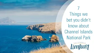 7 Things we bet you didn't know about Channel Islands National Park