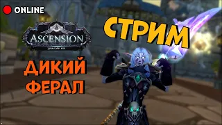 Забираем лут (отдаём) на WOW Ascension в хайриске