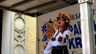 Украинский квартал в Нью-Йорке, Украинский фестиваль на Манхеттене VLOG ♥