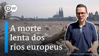 Europa assiste à agonia de seus principais rios