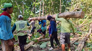 kecil-kecil cabe rawit, walaupun kayu jati kecil galihnya hitam