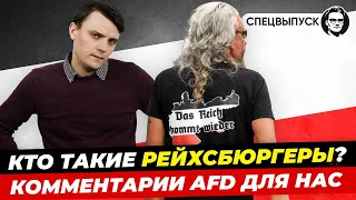 Какая связь с AfD / AдГ? Кто такие Рейхсбюргеры? Госпереворот в Германии. Миша Бур Германия