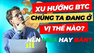 Phân Tích Xu Hướng Của Bitcoin, Thị Trường Đang Trong Giai Đoạn Nào, Nên Mua Vào Hay Bán Ra?