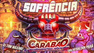 CARABAO O FURIOSO - SOFRÊNCIA 2023 DJ TOM MÁXIMO EM OEIRAS JULHO - (AO VIVO) #sofrencia2023 #Carabao