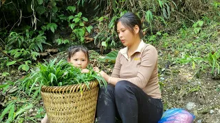 Single mother: Harvesting green vegetables to sell at the market - cooking with her daughter