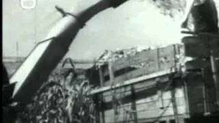 A silókukorica betakarítás gépesítése-1959
