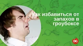 №10 Как избавиться от запахов в гроубоксе